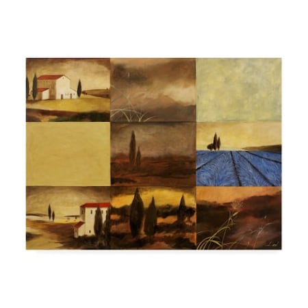 Pablo Esteban 'Tuscan Villa Pattern 2' Canvas Art,18x24